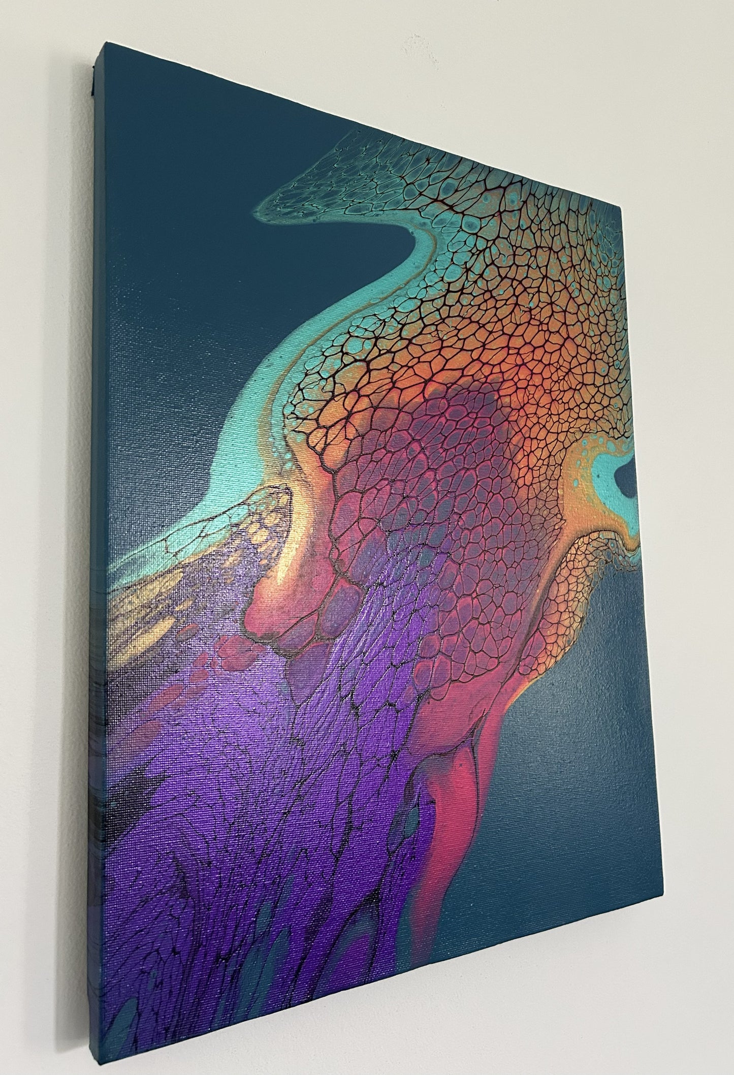 Rainbow Jellyfish