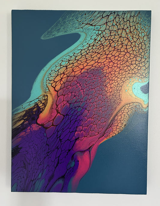 Rainbow Jellyfish