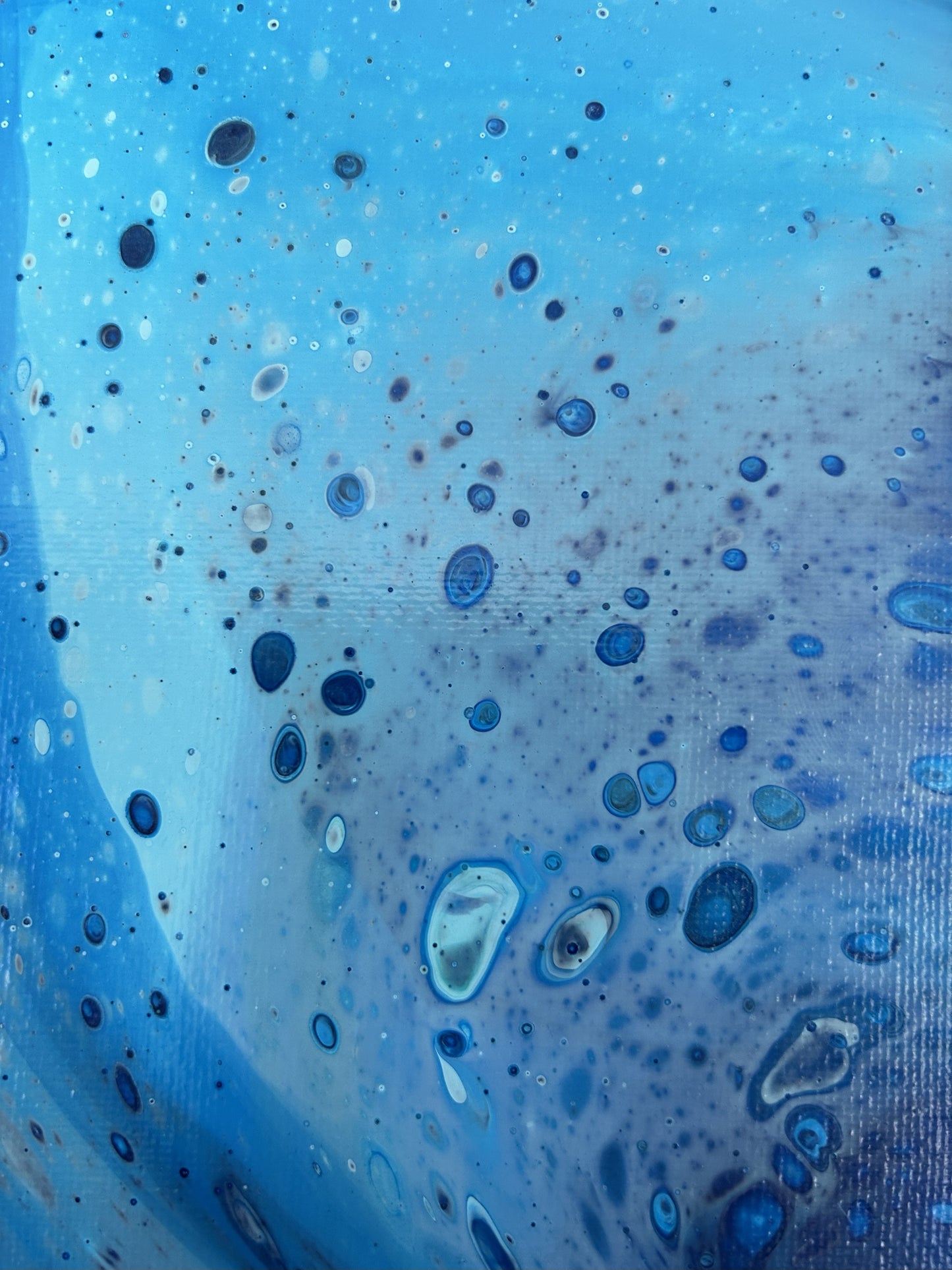 Blue Cosmos