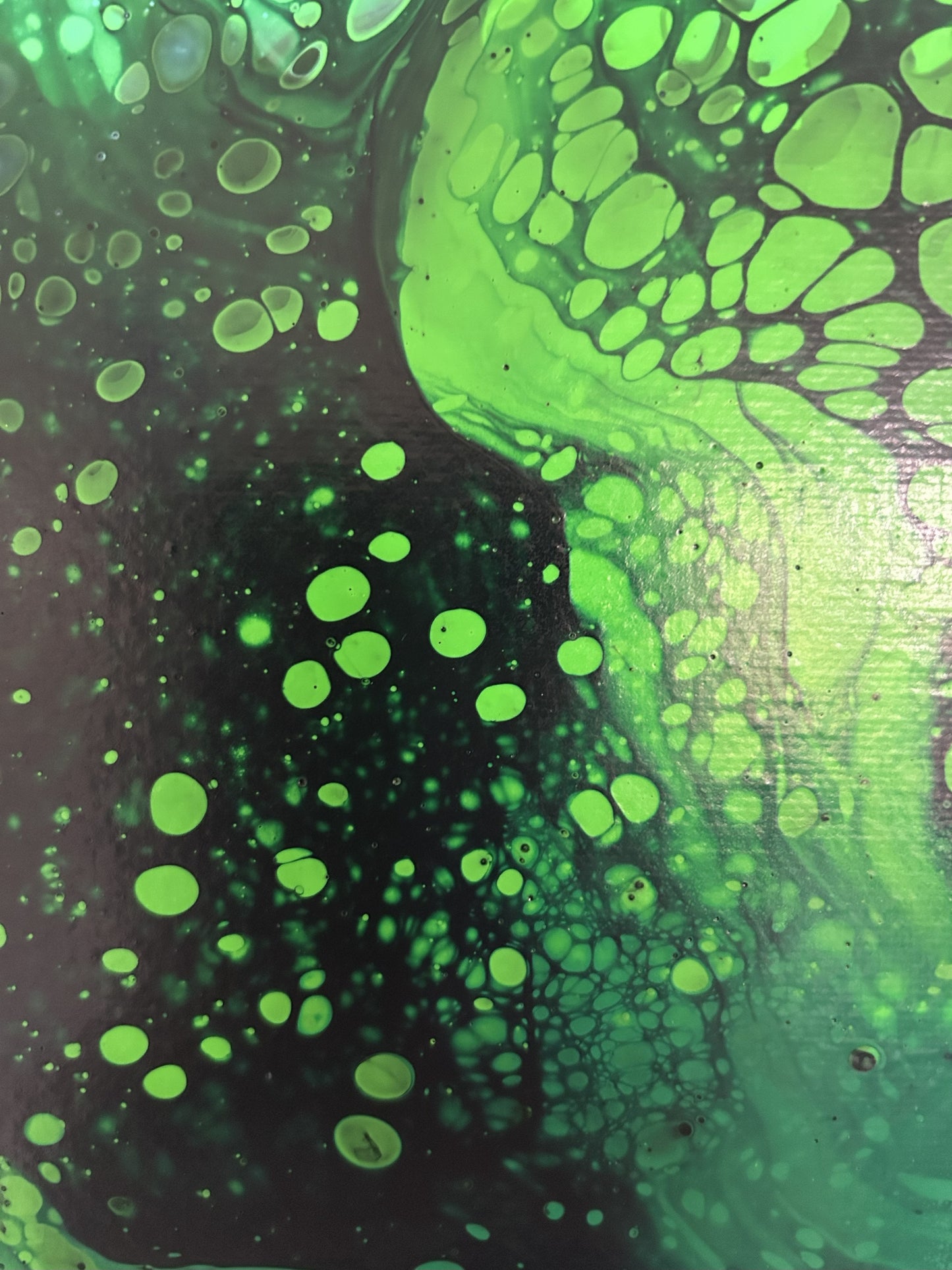 The Well of Pearls