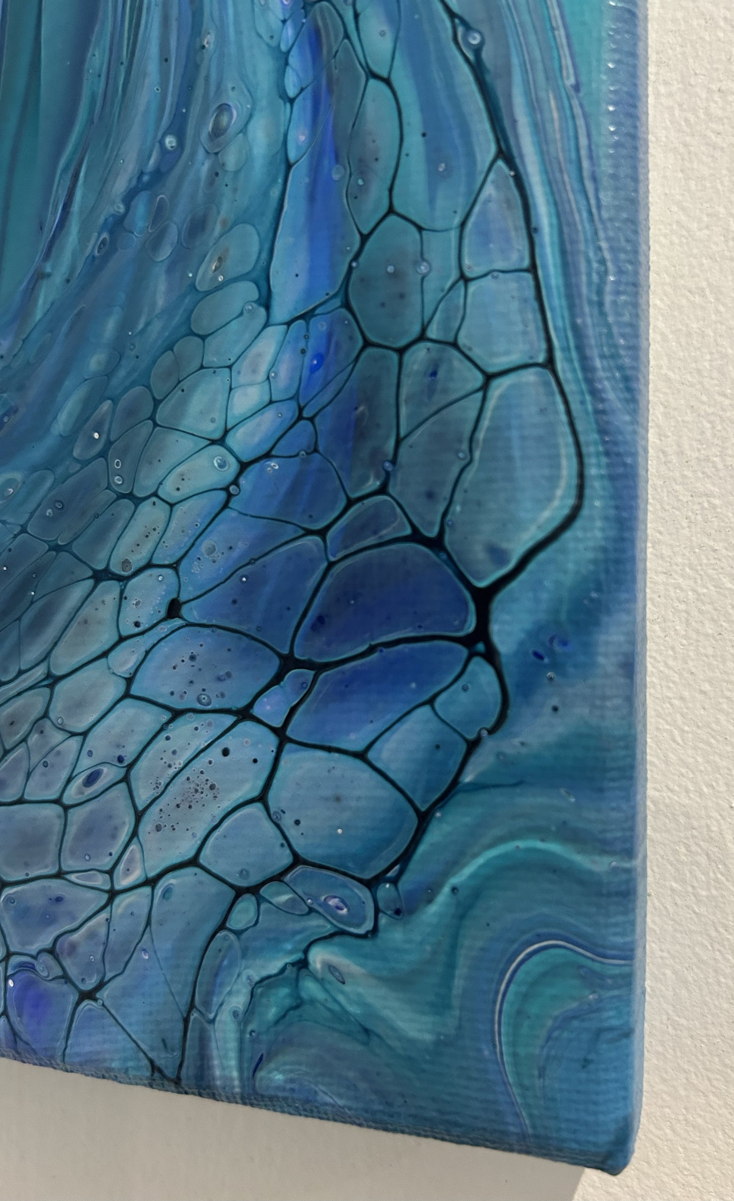 Echo Blue