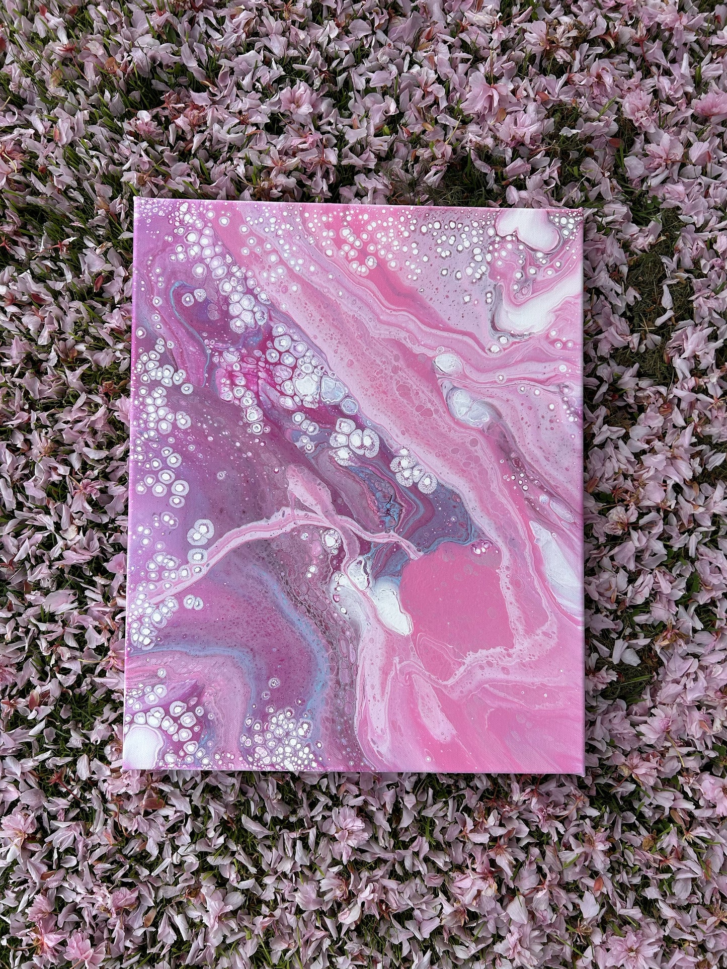 Cherry Blossom