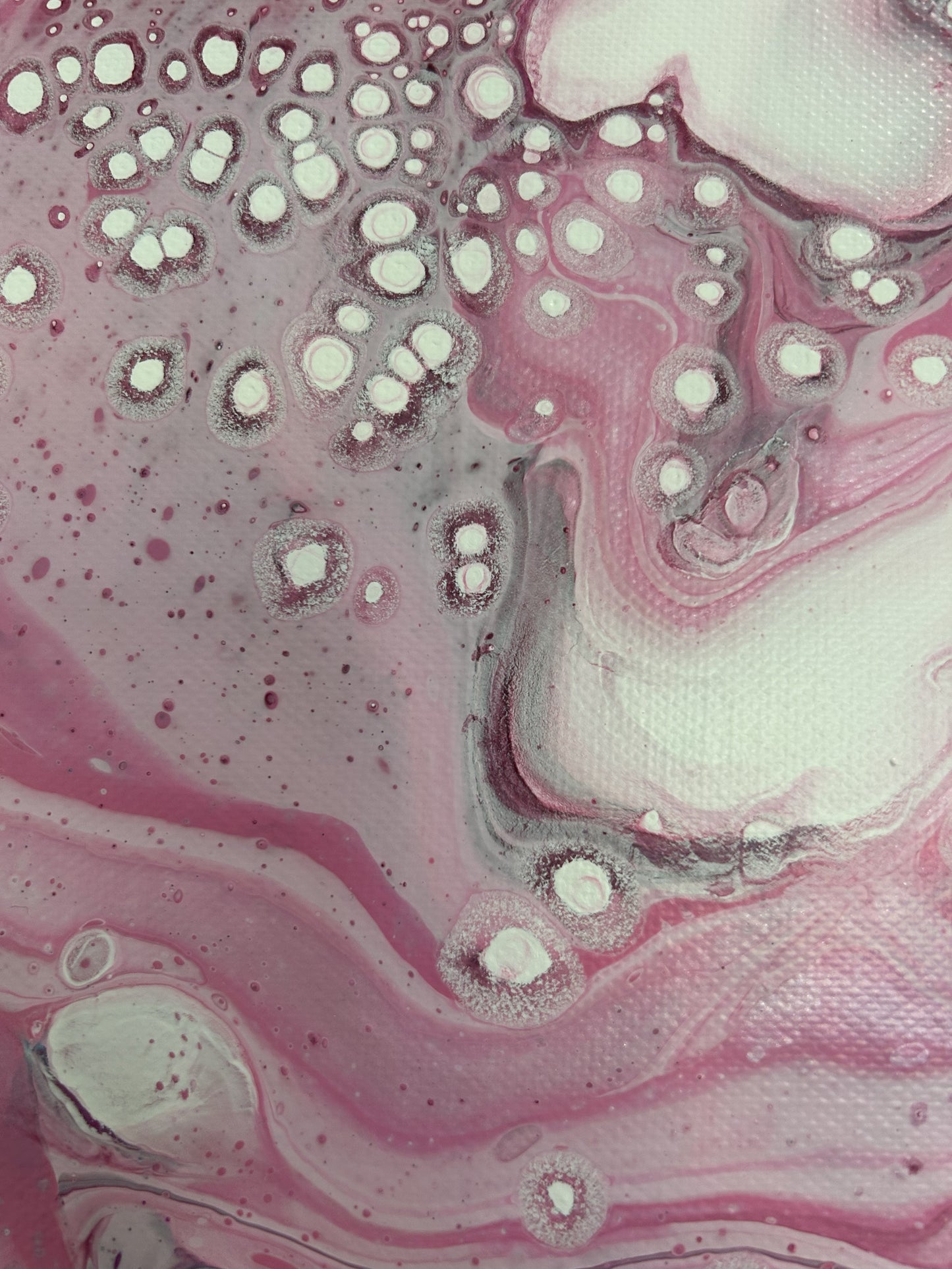 Cherry Blossom